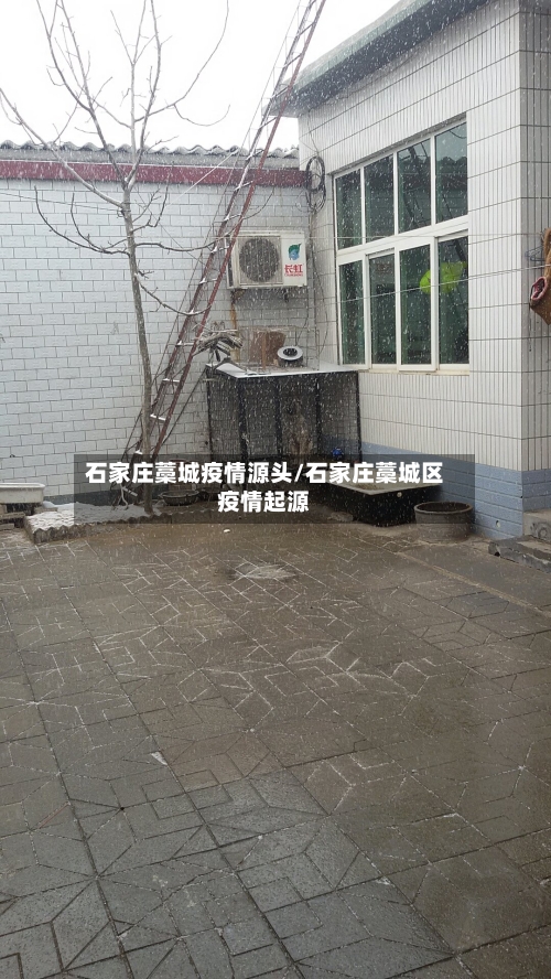 石家庄藁城疫情源头/石家庄藁城区疫情起源-第2张图片