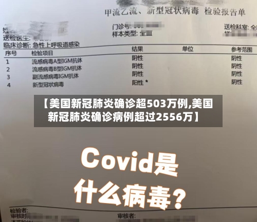 【美国新冠肺炎确诊超503万例,美国新冠肺炎确诊病例超过2556万】-第2张图片