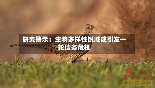 研究警示：生物多样性锐减或引发一轮债务危机-第2张图片