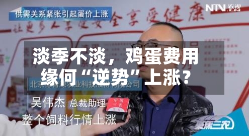 淡季不淡	，鸡蛋费用缘何“逆势”上涨？-第2张图片