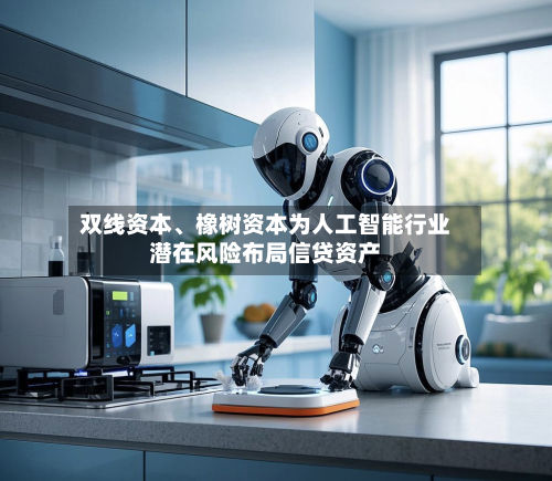 双线资本、橡树资本为人工智能行业潜在风险布局信贷资产-第2张图片