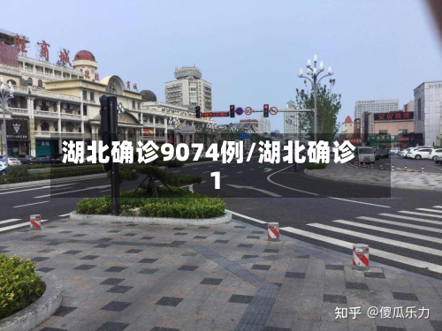 湖北确诊9074例/湖北确诊1