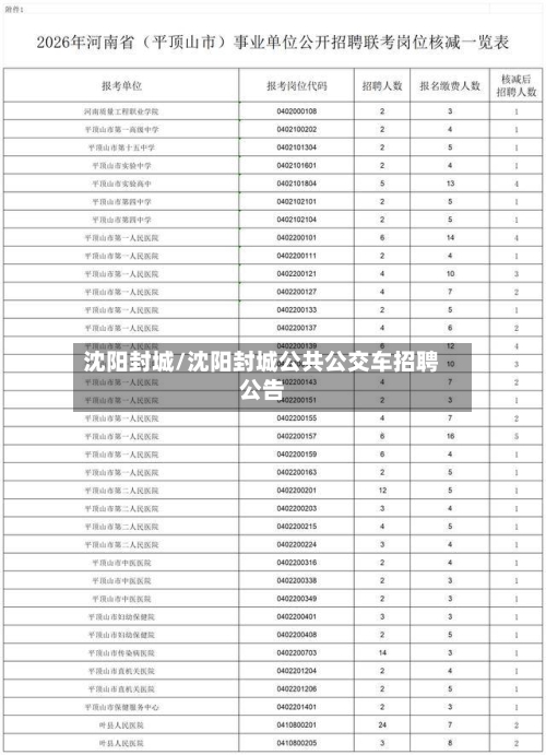 沈阳封城/沈阳封城公共公交车招聘公告-第2张图片