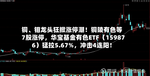 铜、钼龙头狂掀涨停潮！铜陵有色等7股涨停，华宝基金有色ETF（159876）猛拉5.67%，冲击4连阳！-第2张图片