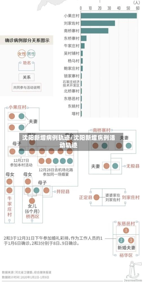 沈阳新增病例轨迹/沈阳新增病例活动轨迹