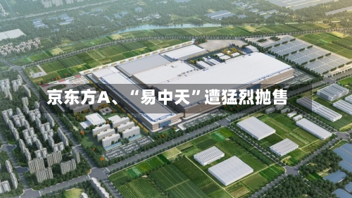京东方A	、“易中天	”遭猛烈抛售-第2张图片
