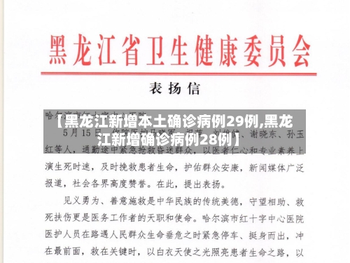【黑龙江新增本土确诊病例29例,黑龙江新增确诊病例28例】