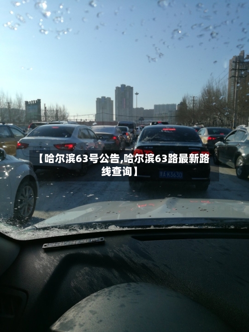 【哈尔滨63号公告,哈尔滨63路最新路线查询】-第2张图片