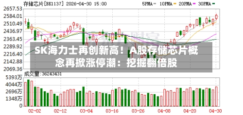 SK海力士再创新高！A股存储芯片概念再掀涨停潮：挖掘翻倍股-第3张图片