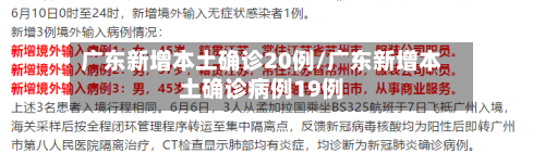 广东新增本土确诊20例/广东新增本土确诊病例19例