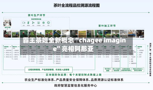 霸王茶姬全新概念“chagee imagine	”亮相阿那亚-第3张图片
