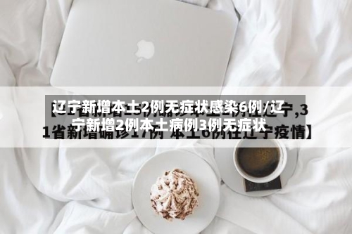 辽宁新增本土2例无症状感染6例/辽宁新增2例本土病例3例无症状-第2张图片