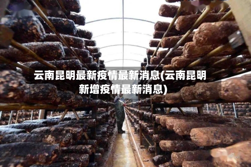云南昆明最新疫情最新消息(云南昆明新增疫情最新消息)