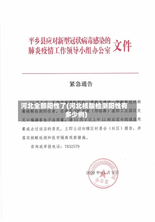 河北全部阳性了(河北核酸检测阳性有多少例)