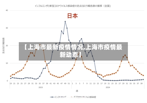 【上海市最新疫情情况,上海市疫情最新动态】-第2张图片
