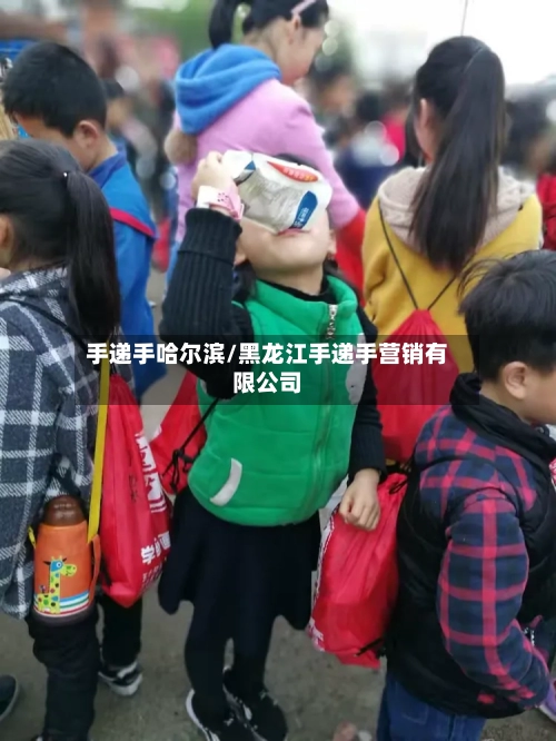 手递手哈尔滨/黑龙江手递手营销有限公司