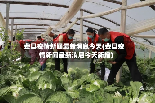 费县疫情新闻最新消息今天(费县疫情新闻最新消息今天新增)-第3张图片