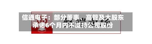 信通电子：部分董事	、高管及大股东承诺6个月内不减持公司股份-第2张图片