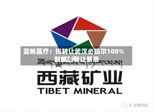 蓝帆医疗：拟转让武汉必凯尔100%股权，转让费用1.9亿元-第2张图片