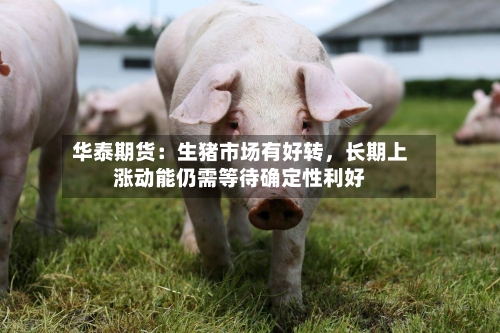 华泰期货：生猪市场有好转，长期上涨动能仍需等待确定性利好-第3张图片