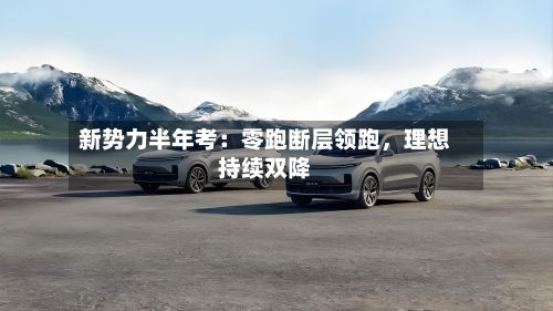 新势力半年考：零跑断层领跑，理想持续双降-第2张图片