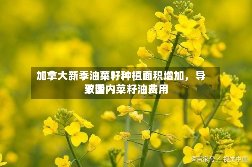 加拿大新季油菜籽种植面积增加，导致国内菜籽油费用下滑-第2张图片