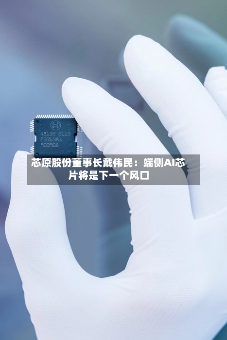 芯原股份董事长戴伟民：端侧AI芯片将是下一个风口-第2张图片