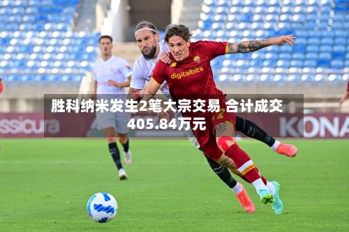 胜科纳米发生2笔大宗交易 合计成交405.84万元-第2张图片