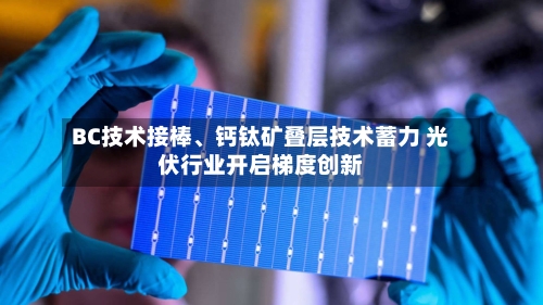 BC技术接棒、钙钛矿叠层技术蓄力 光伏行业开启梯度创新-第2张图片