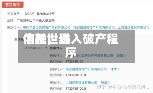 中融世界信托	，进入破产程序-第2张图片