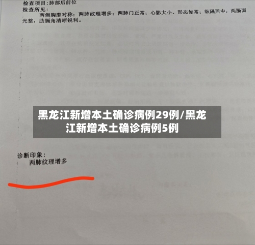 黑龙江新增本土确诊病例29例/黑龙江新增本土确诊病例5例