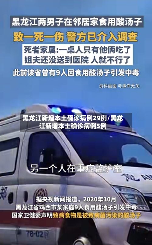 黑龙江新增本土确诊病例29例/黑龙江新增本土确诊病例5例-第3张图片