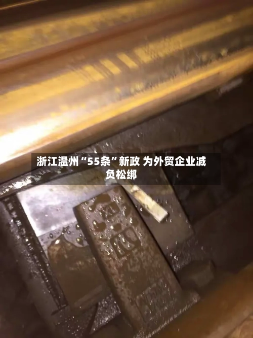 浙江温州“55条”新政 为外贸企业减负松绑