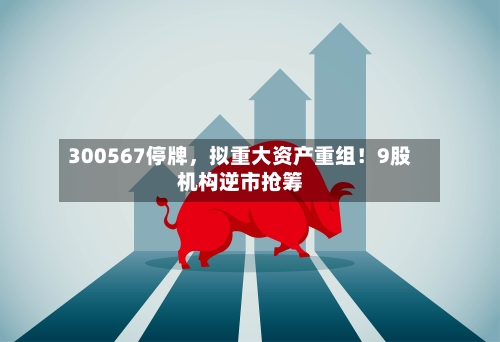 300567停牌，拟重大资产重组！9股机构逆市抢筹-第3张图片
