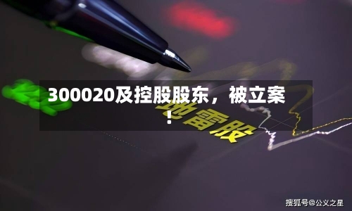 300020及控股股东	，被立案！-第2张图片