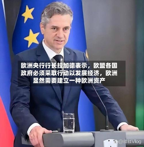 欧洲央行行长拉加德表示，欧盟各国政府必须采取行动以发展经济	，欧洲显然需要建立一种欧洲资产-第2张图片