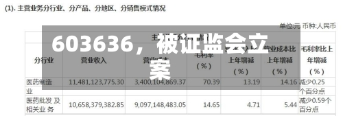 603636，被证监会立案-第3张图片