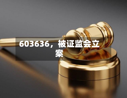 603636	，被证监会立案-第2张图片