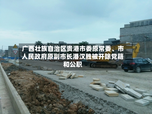广西壮族自治区贵港市委原常委、市人民政府原副市长潘汉胜被开除党籍和公职-第2张图片