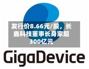 发行价8.66元/股，长鑫科技董事长身家超300亿元-第2张图片