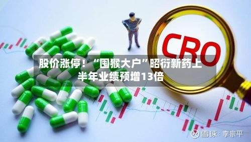 股价涨停！“囤猴大户”昭衍新药上半年业绩预增13倍-第2张图片