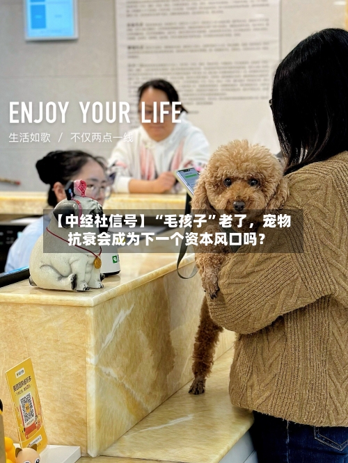 【中经社信号】“毛孩子	”老了	，宠物抗衰会成为下一个资本风口吗？-第2张图片