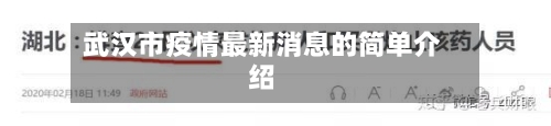 武汉市疫情最新消息的简单介绍-第2张图片