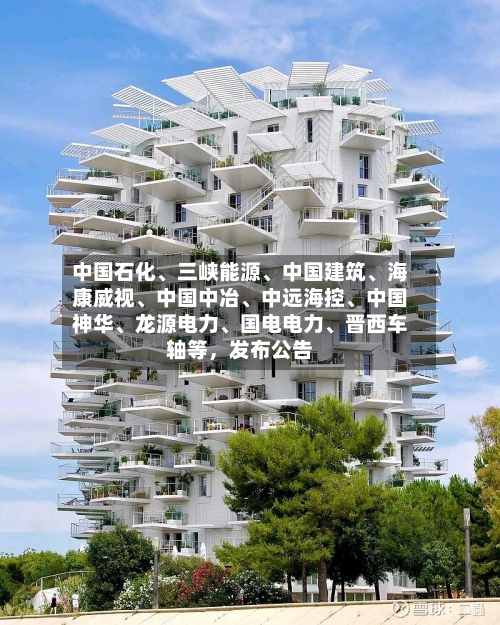 中国石化、三峡能源、中国建筑	、海康威视、中国中冶、中远海控	、中国神华、龙源电力、国电电力、晋西车轴等，发布公告-第2张图片