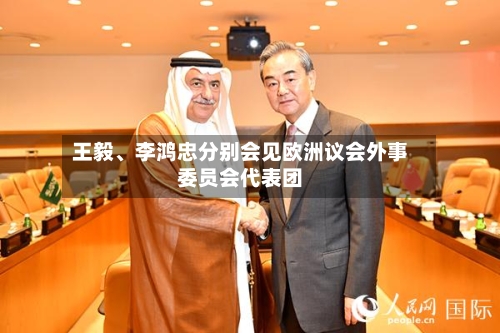 王毅、李鸿忠分别会见欧洲议会外事委员会代表团-第2张图片