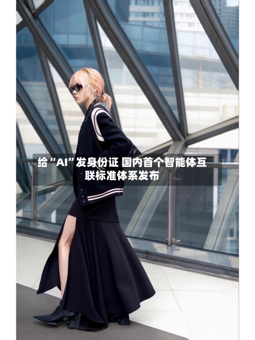 给“AI”发身份证 国内首个智能体互联标准体系发布-第2张图片