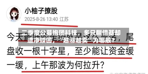 二季度公募抱团科技，多只翻倍基却遭净赎回，“越涨越卖	”为哪般？-第2张图片