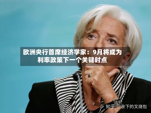欧洲央行首席经济学家：9月将成为利率政策下一个关键时点-第2张图片