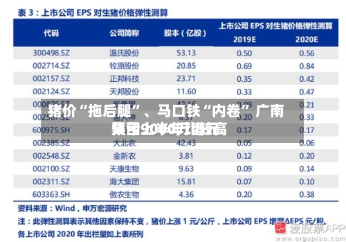 猪价“拖后腿”、马口铁“内卷” 广南集团上半年比较高预亏9000万港元-第3张图片