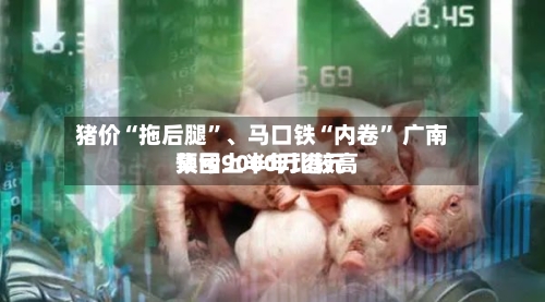 猪价“拖后腿”、马口铁“内卷	” 广南集团上半年比较高预亏9000万港元-第2张图片